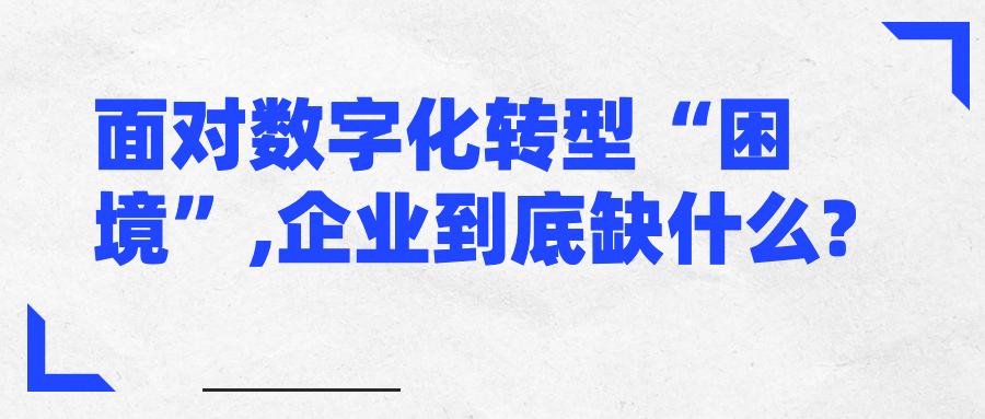面对数字化转型“困境”,企业到底缺什么? 面对数字化转型“困境”,企业到底缺什么?