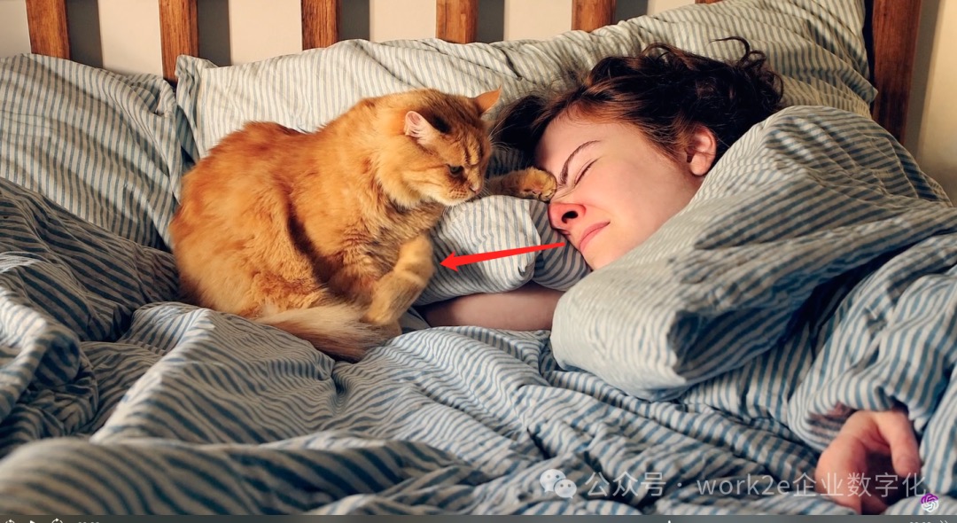 OpenAI发布Sora,支持60s长视频,更高质量视频,更容易听懂人话 OpenAI发布Sora,支持60s长视频,更高质量视频,更容易听懂人话