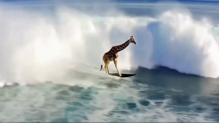 前沿 AI 创新动态:谷歌、Borderless AI、Botika 与 Luma AI 成果聚焦 前沿 AI 创新动态:谷歌、Borderless AI、Botika 与 Luma AI 成果聚焦