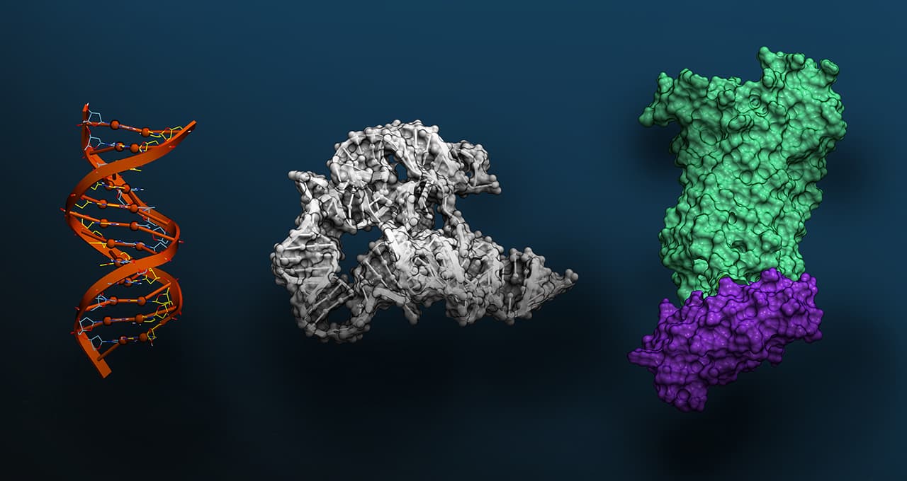 游戏界的 AI核弹 Muse模型 自动生成游戏世界;Evo 2 读懂设计生命基因代码的AI;Stytch AI跨应用授权 游戏界的 AI核弹 Muse模型 自动生成游戏世界;Evo 2 读懂设计生命基因代码的AI;Stytch AI跨应用授权